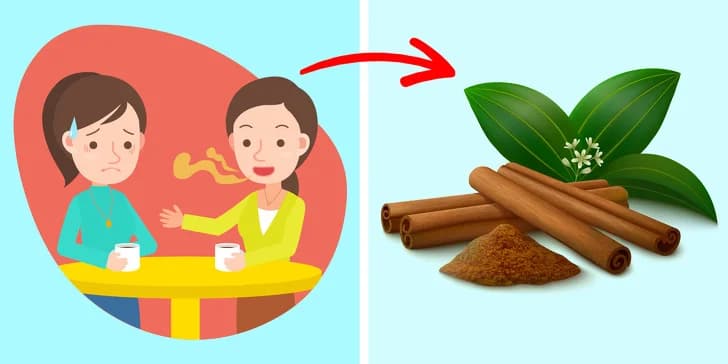ခန္ဓာကိုယ်ရဲ့ အနံ့အသက်ဆိုးတွေကို အချိန်တိုအတွင်း ပျောက်ကင်းစေနိုင်မယ့် သဘာဝပစ္စည်းများ