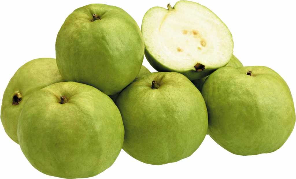 Fruit-guava