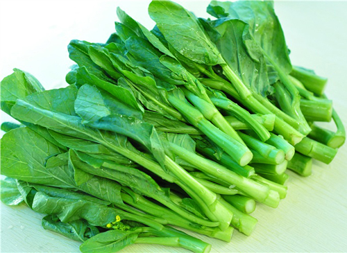 Chinese Kale Green Leaf