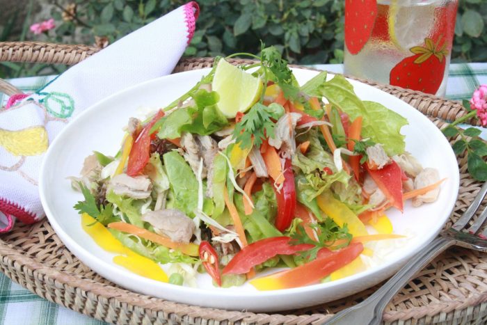 အာရွ အရသာ ၀က္သားသုပ္ Asian Pork Salad