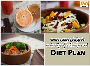Diet Plan Review