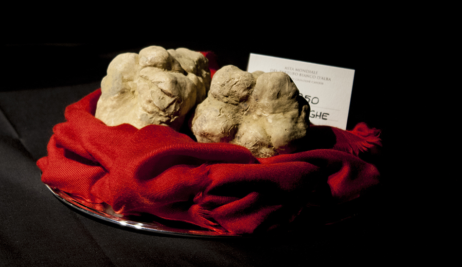 alba-white-truffles