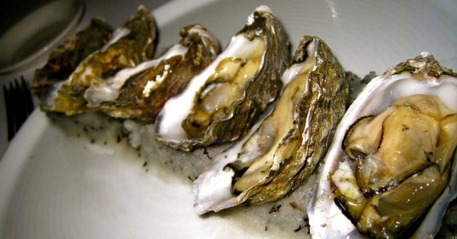 coffin-bay-king-oysters-640x335