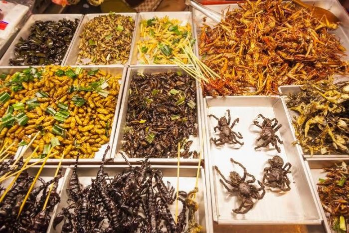 Eating Insects