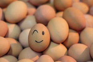 eggs-fun-fact