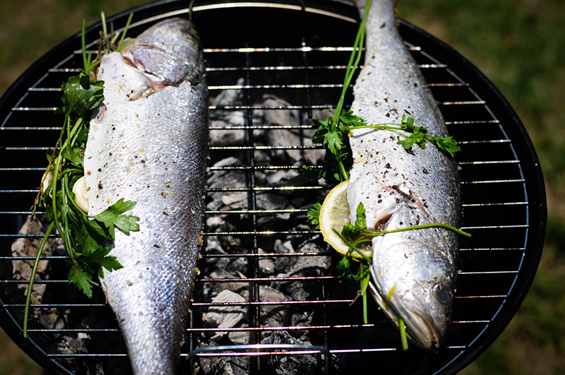 fish-on-grill