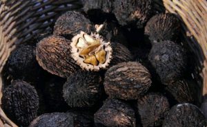 black-walnut