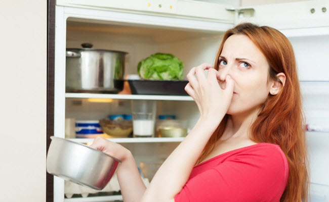 removes-fridge-odor