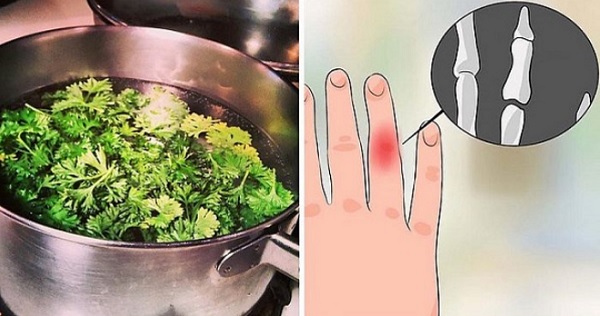 see-what-happens-to-your-body-when-you-drink-parsley-tea-with-lemon-and-honey