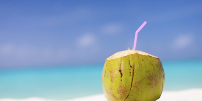 Coconut