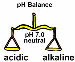 ph-balance