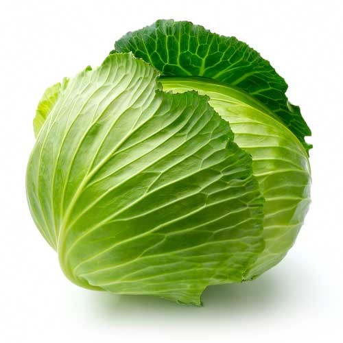 cabbage-08