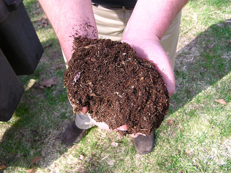 compost-dirt-by-normanack-via-wikipedia-attribution
