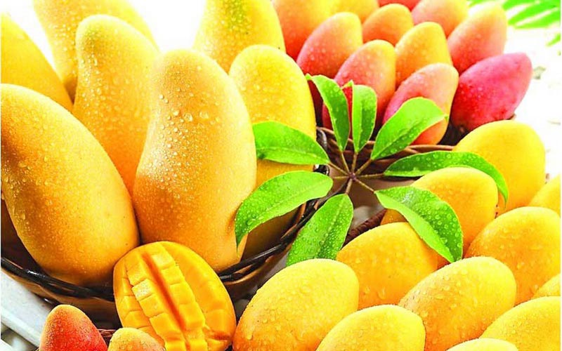 fresh-mango-1231904