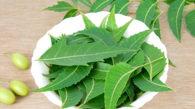 neem-leaves-uses-625_625x350_41444631794