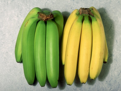 ripe-and-unripe-bananas