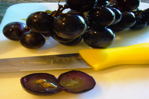 grape-624x600