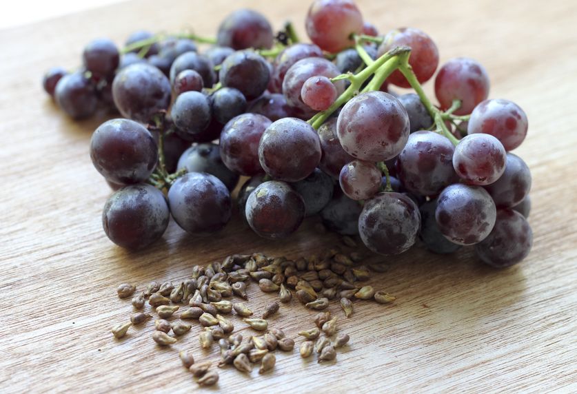 grape_seed_extract_diabetes