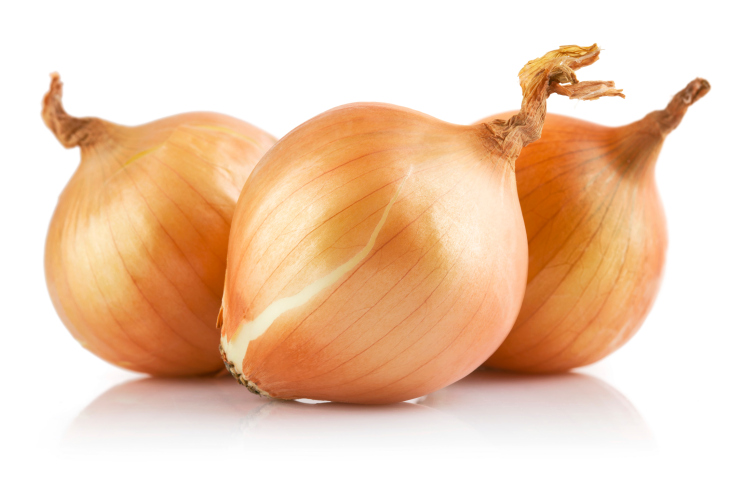 fresh onions vegetables