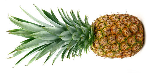 pineapple11
