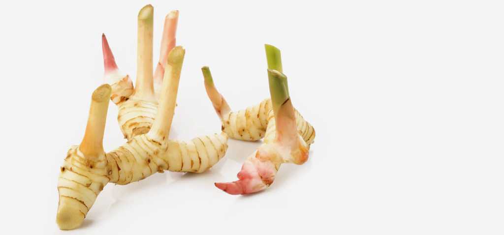 15-Amazing-Benefits-Of-Galangal-For-Skin-Hair-And-Health