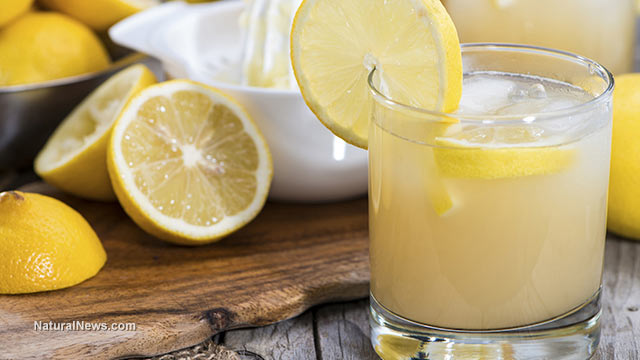 Lemons-Lemonade-Drink-Glass