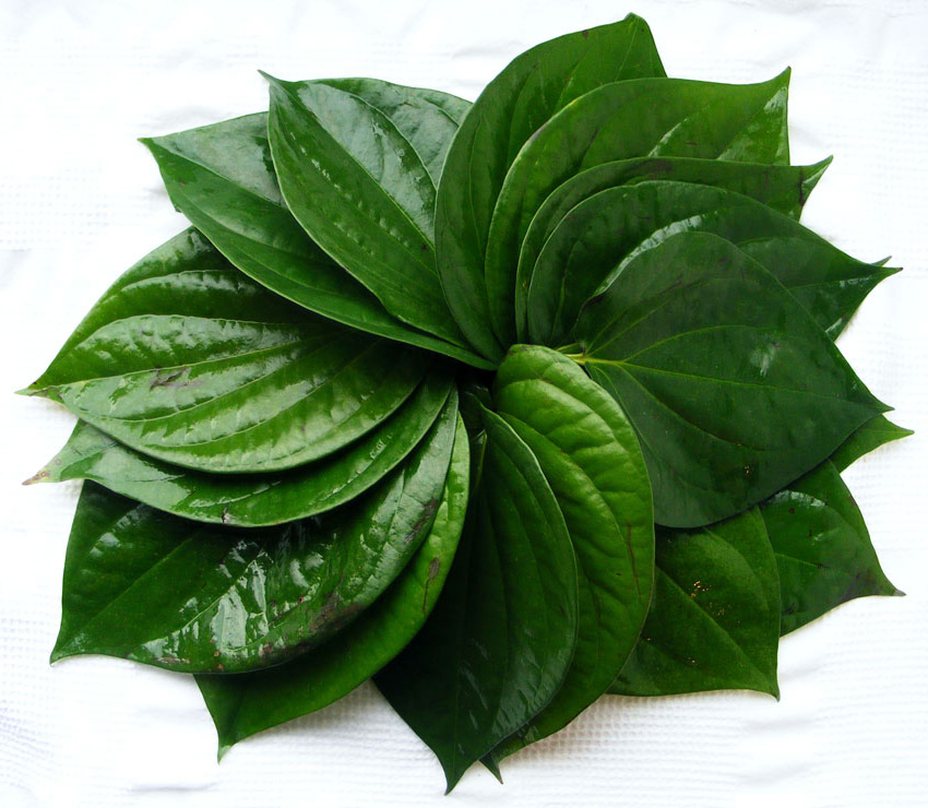nutrition-fact-of-betel-leaves-561561