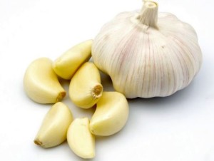 Garlic2-300x226
