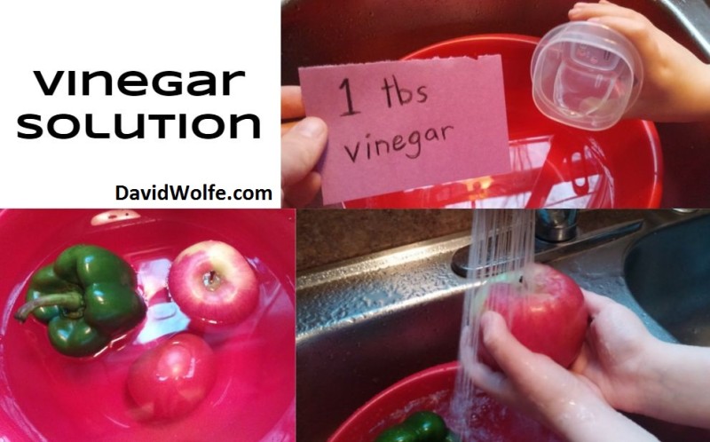 Vinegar-Solution-e1452981365913