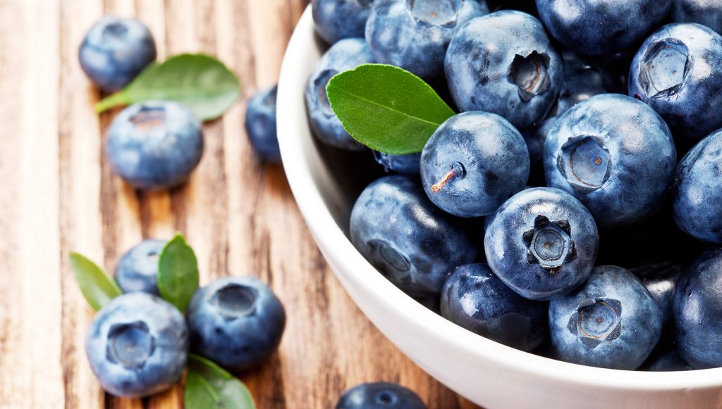 Bowl-of-blueberries-1836