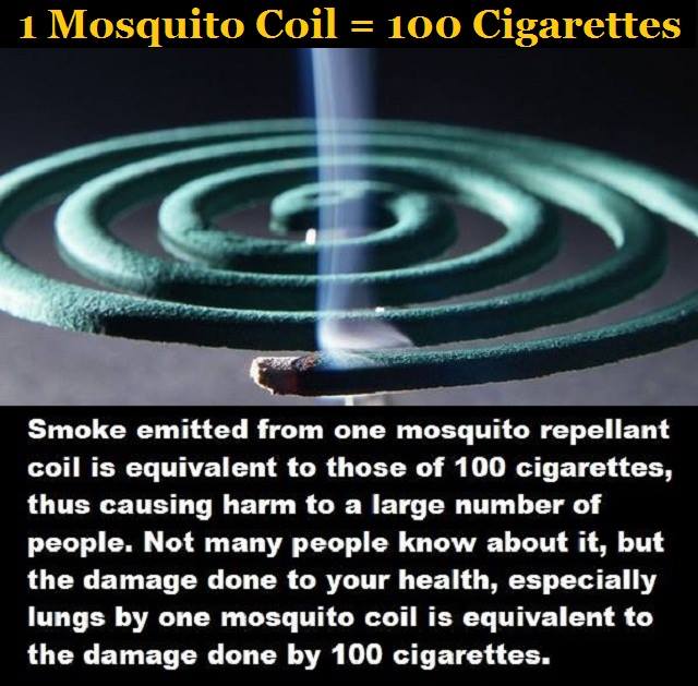 mosquitocoil