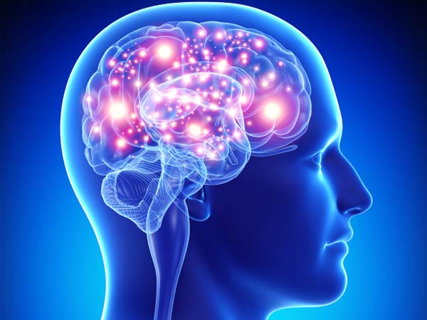 မှတ်ဉာဏ်တွေပိုကောင်းစေမယ့် ဦးနှောက်ရဲ့ ဆဲလ်အသစ်တွေ ဖွံ့ဖြိုးလာစေတဲ့ နေထိုင်စားသောက်မှုပုံစံများ