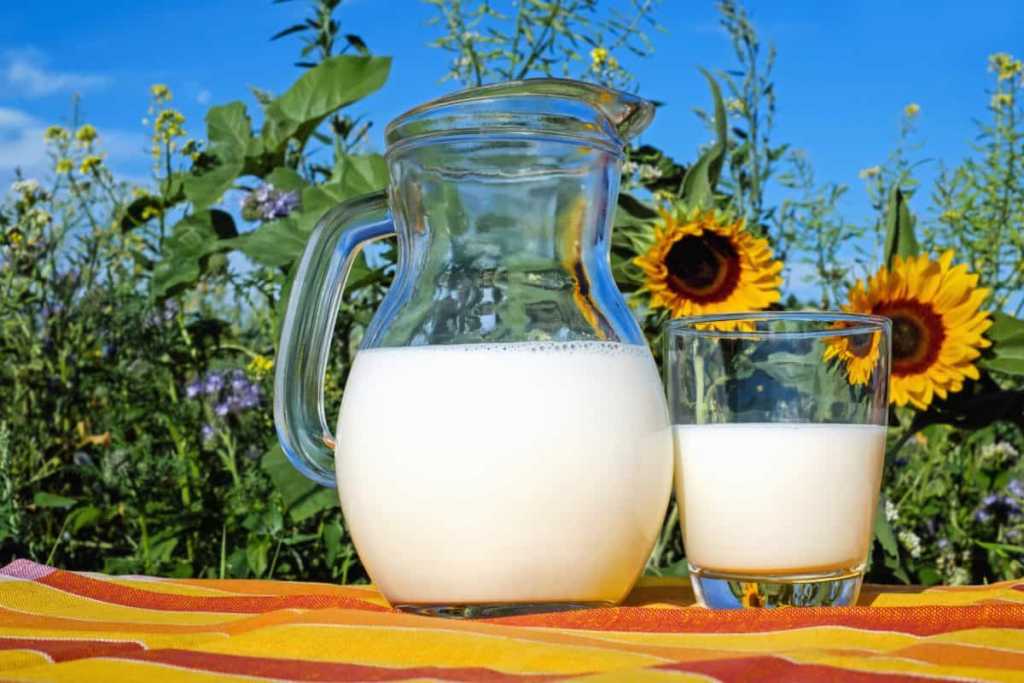အော်ဂန်းနစ်နွားနို့ (Organic Milk) ရဲ့ ကျန်းမာရေး အကျိုးကျေးဇူးများ